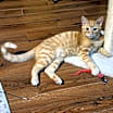 Thumbnail photo of Jack #1
