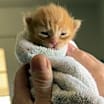 Thumbnail photo of Jack #4