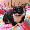 Thumbnail photo of Sophia #2