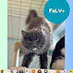 Thumbnail photo of Sonya #1