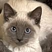Thumbnail photo of Prince #1