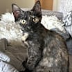 Thumbnail photo of Heidi #1