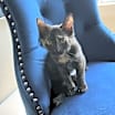 Thumbnail photo of Heidi #2