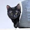 Thumbnail photo of Sara #3