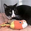 Thumbnail photo of Boots Zander #3