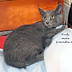 Thumbnail photo of Rudy #2