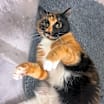 Thumbnail photo of Charlotte #4