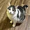 Thumbnail photo of Penelope #1