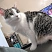 Thumbnail photo of Penelope #2
