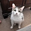 Thumbnail photo of Penelope #3