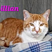 Thumbnail photo of Lillian #1