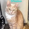 Thumbnail photo of Winslow #1