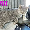 Thumbnail photo of Jill #1
