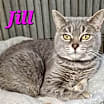 Thumbnail photo of Jill #2
