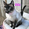 Thumbnail photo of Ida #2