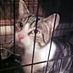 Thumbnail photo of Cole #3