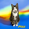 Thumbnail photo of Max #1