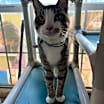 Thumbnail photo of Max #3