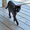 Thumbnail photo of Quinnie #3
