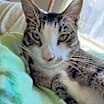 Thumbnail photo of Max #4