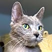 Thumbnail photo of Albus #1