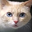 Thumbnail photo of Bernard #1