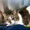 Thumbnail photo of Gertrude #1