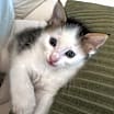 Thumbnail photo of Waylon #4