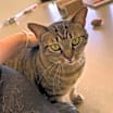 Thumbnail photo of Lucille #1