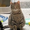 Thumbnail photo of Jelly #2