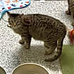 Thumbnail photo of Jelly #4