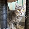 Thumbnail photo of Britches #1