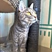 Thumbnail photo of Britches #4