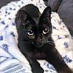 Thumbnail photo of Mirabel #1