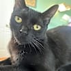 Thumbnail photo of Mirabel #3