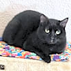 Thumbnail photo of Lindy #1