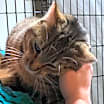 Thumbnail photo of Milo #1