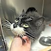 Thumbnail photo of LOLA #2