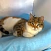 Thumbnail photo of Tina #2