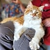 Thumbnail photo of Wally #3
