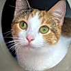 Thumbnail photo of S'more #1