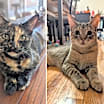 Thumbnail photo of Tortina & Louise #2