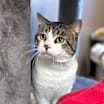 Thumbnail photo of Mike #1
