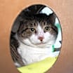 Thumbnail photo of Mike #2