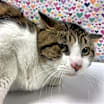 Thumbnail photo of Mike #3