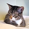 Thumbnail photo of Gunner #1