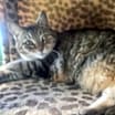 Thumbnail photo of Gabby #1