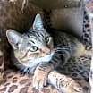 Thumbnail photo of Gabby #2