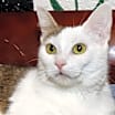 Thumbnail photo of Wilma #1