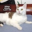 Thumbnail photo of Wilma #2